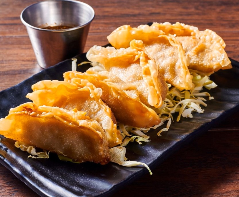 dumplings source photo